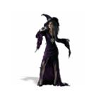 Sorceress Adult Costume - (12-14)