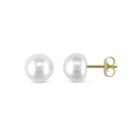 White Cultured Freshwater Button Pearl 10k Yellow Gold Earrings