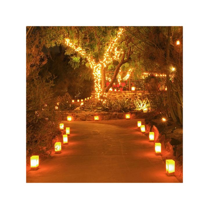 Flame Resistant Luminaria Bags- White Set Of 100