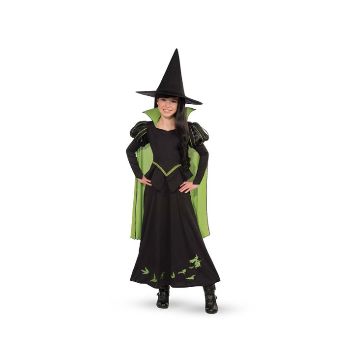 The Wizard Of Oz Wicked Witch Of The West Child Costume