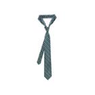 Van Heusen Tie Right Small Gingham Tie