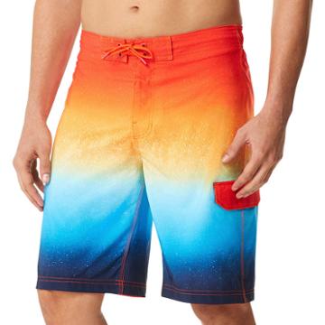 Speedo Speedo Ombre Board Shorts