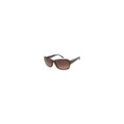 Calvin Klein Sunglasses - Ck7793s / Frame: Brown Crystal Lens: Brown Gradient