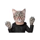 Cat Head & Paws Adult Costume