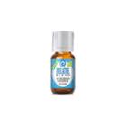 Healing Solutions Breathe Blend Essential Oil