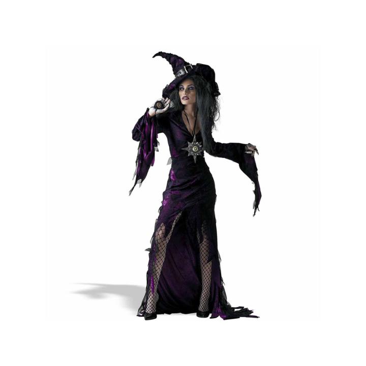 Sorceress 4-pc. Dress Up Costume