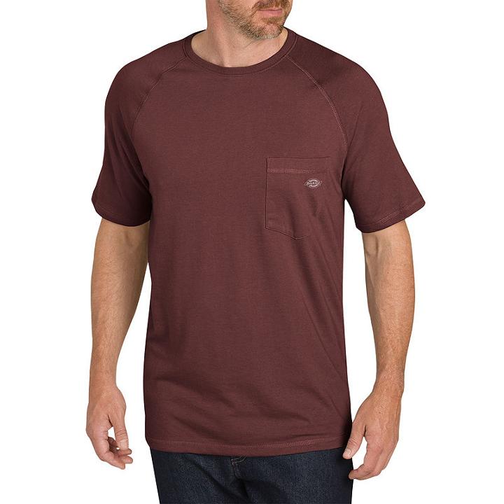 Dickies Short Sleeve Crew Neck T-shirt - Big