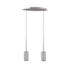 Benjamin 2-light Silver Pendant