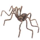 50 Hairy Posable Spider