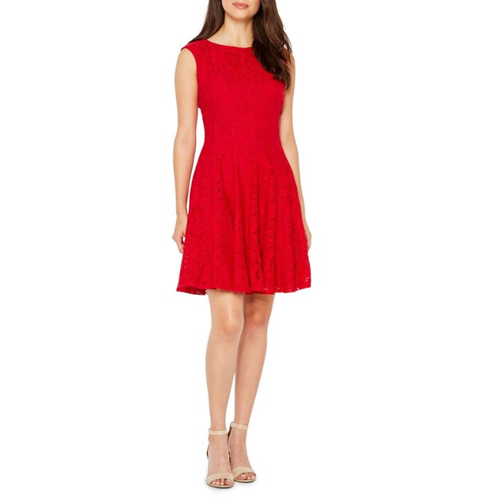 Danny & Nicole Sleeveless Floral Lace Fit & Flare Dress