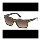 Tom Ford Sunglasses Barbara / Frame: Olive Stripelens: Brown