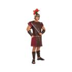 Roman Chest Cover