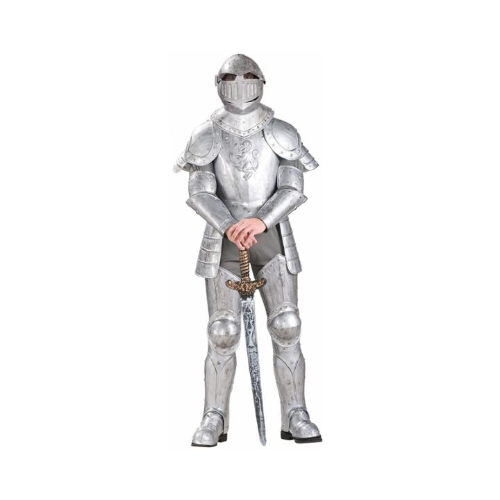 Knight In Shining Armor Adult Costume