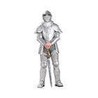 Knight In Shining Armor Adult Costume