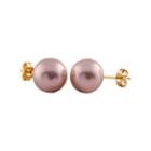 Purple Pearl 14k Gold Stud Earrings