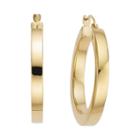 Gold Opulence 14k Gold Over Diamond Resin Polishedsquaredhoop Earrings