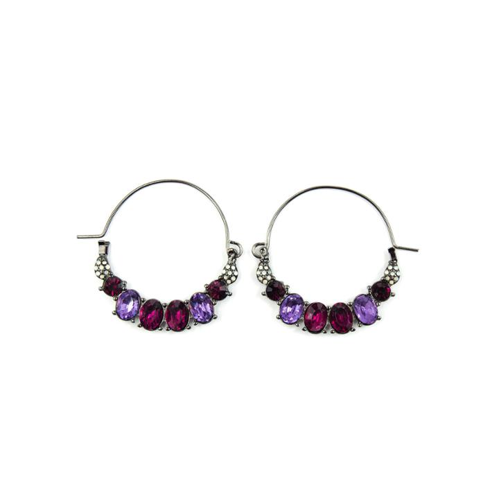 Arizona Multi Color Hoop Earrings