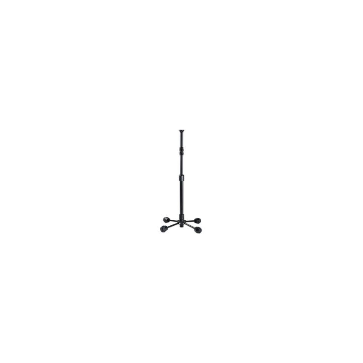 Champion Sports Portable Folding Batting Tee