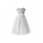 Keepsake Short Sleeve Sparkle Lace Bodice With Tulle A-line Dress Plus