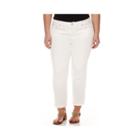 Stylus&trade; Slim Ankle Pants - Plus