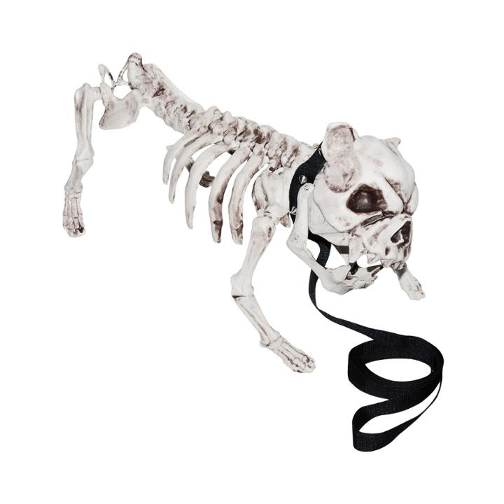 Skeleton Dog