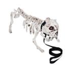 Skeleton Dog