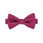 Stafford Shreveport Non-solid Geo Pre-tied Bow Tie