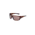 Bluwater Babe 3 Gloss Brown Poly Frame Withbrwn Polarized Lens