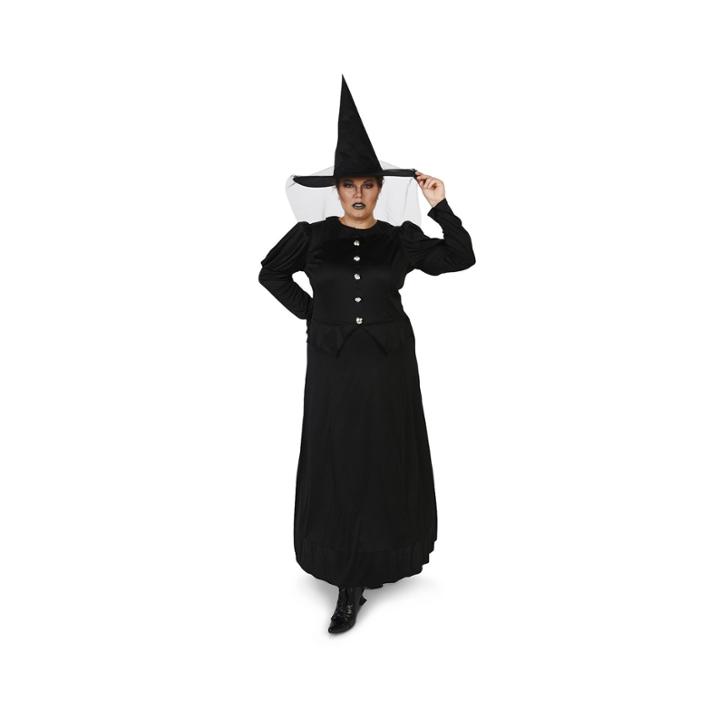 Wicked Witch Adult Costume