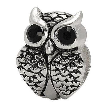 Forever Moments Crystal Owl Charm Bracelet Bead