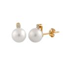 1/10 Ct. T.w. Genuine White Pearl 10mm Round Stud Earrings