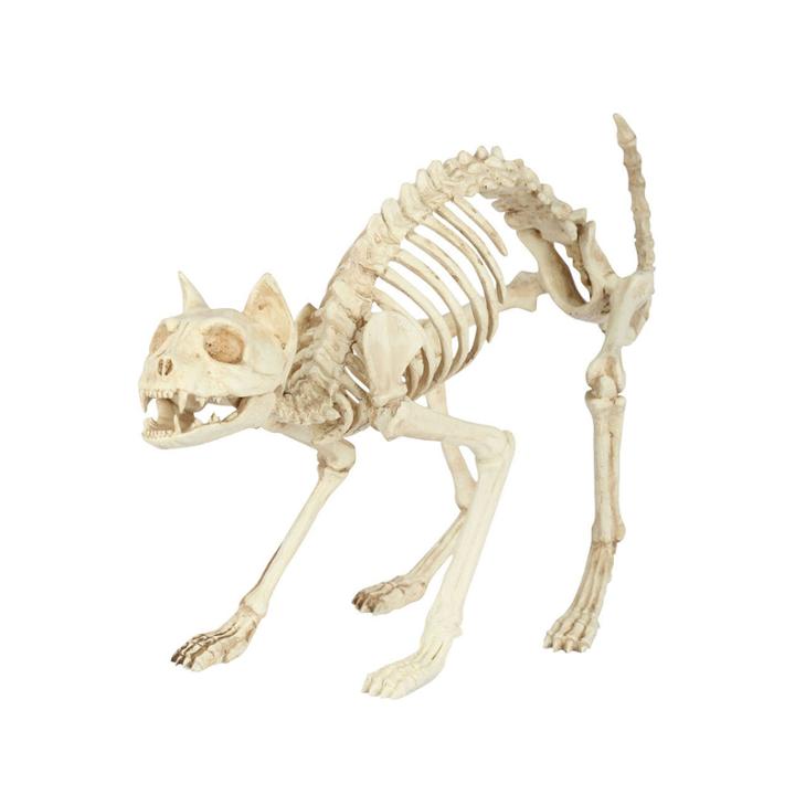 Skeleton Cat