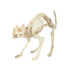 Skeleton Cat