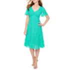 Rabbit Design Short Sleeve Lace Fit & Flare Mid Length Dress
