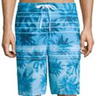 Speedo Palm Stripe E-board Shorts
