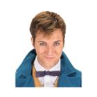 Fantastic Beasts And Where To Find Them Newt Bowtie