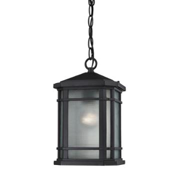 Lowell 1-light Outdoor Pendant In Matte Black