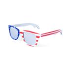 Americana Retro Rectangle Sunglasses