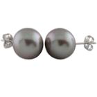 Gray Pearl 10mm Stud Earrings