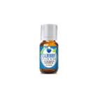 Healing Solutions Calm Body, Calm Mind Blend Essential Oil
