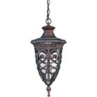 Filament Design 1-light Dark Plum Bronze Outdoor Hanging Lantern