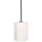 Falcon 1-light Silver Pendant