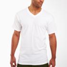 Fruit Of The Loom Premium 4-pk. V-neck T-shirts