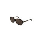 Harley Davidson Sunglasses - Hdx 831 / Frame: Tortoise Lens: Brown