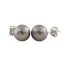 Gray Pearl 14k Gold Stud Earrings
