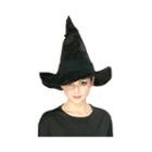 Harry Potter - Mcgonagall's Hat Adult - One Size