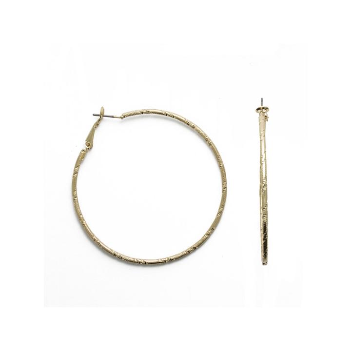 Sensitive Ears Hoop Earrings