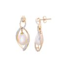 1/4 Ct. T.w. Diamond 14k Gold Drop Earrings