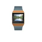 Fitbit Ionic Smart Watch
