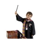 Buyseasons Harry Potter Unisex 6-pc. Dress Up Accessory